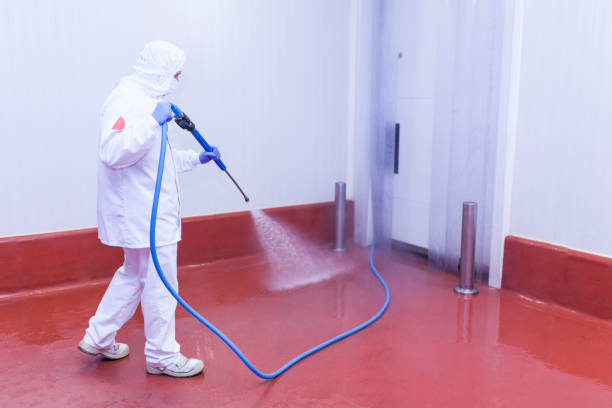 Best House Exterior Washing  in Manchester, PA
